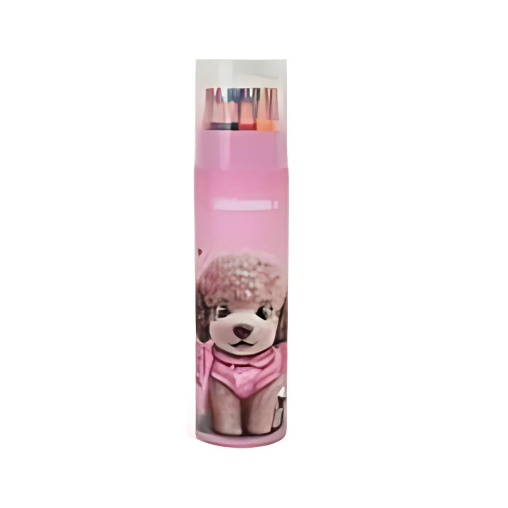 SET DE LAPICES CHIMOLA PODDLE X24U (ST65)