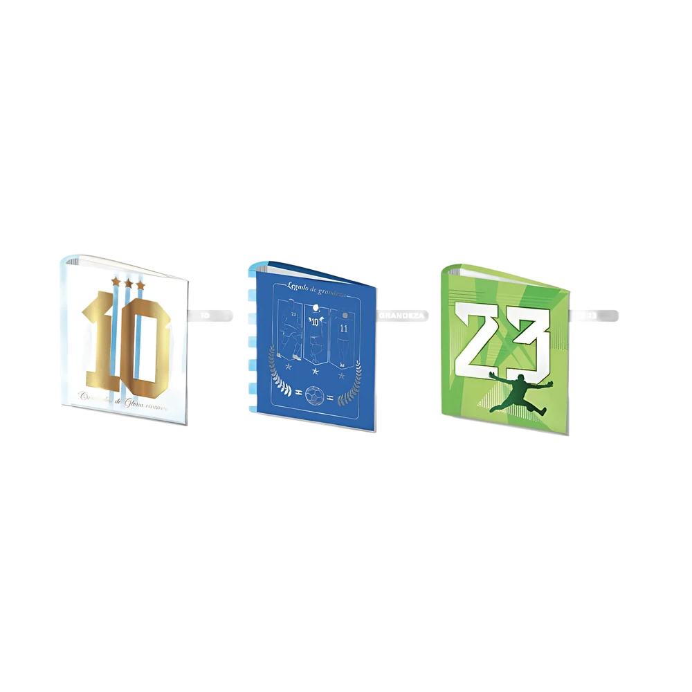 CARPETA ESCOLAR 3X40 REYSA AFA SELECCIÓN (LP-3010)